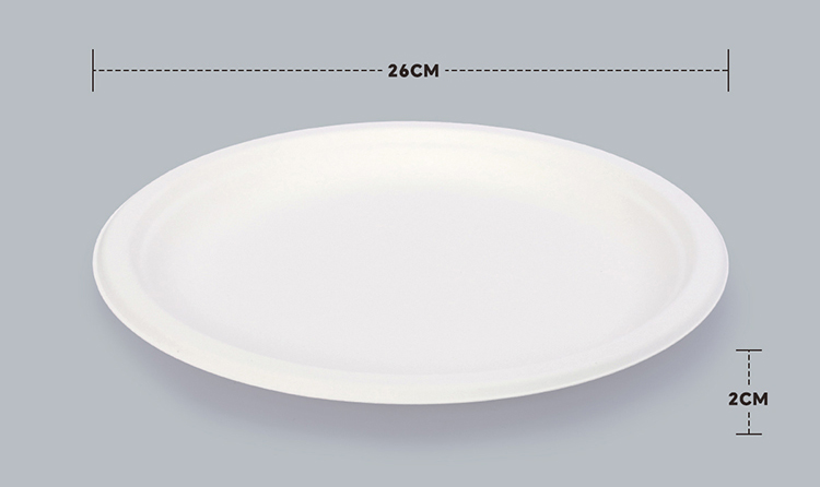 10 inch round plate - https://www.xinchengeco.com